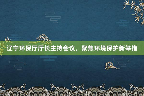 辽宁环保厅厅长主持会议，聚焦环境保护新举措